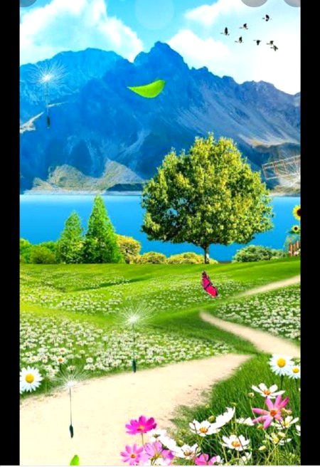 Beautiful Nature image