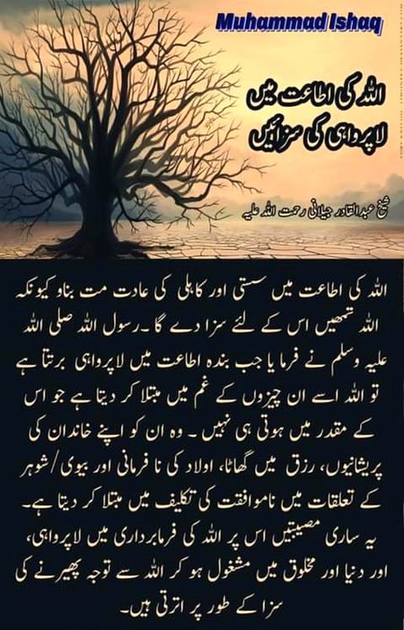 Islamic Quotes image