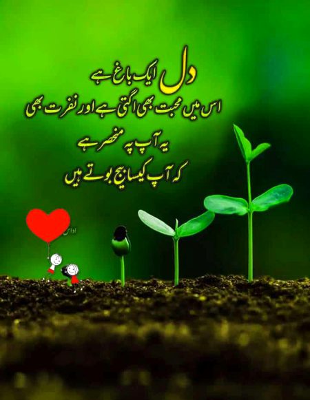 Blkl Saanaam❣️❣️