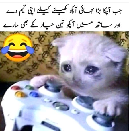 Memes & Satire image