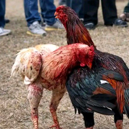 بروزِ حشر ھر عمل پر سزا و جزا ھے رب العالمین ھدایت نصیب فرمائے اور رحم والا معاملہ فرمائے آمین. . . .