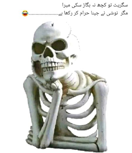 🇵🇰🇵🇰🇵🇰🇵🇰Qurban🇵🇰🇵🇰🇵🇰🇵🇰