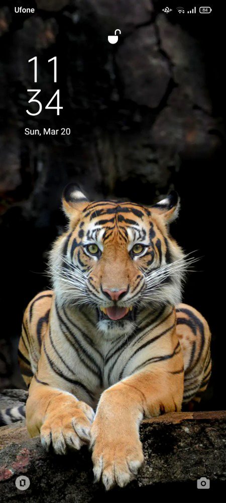 Beautiful Nature image