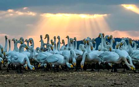 Beautiful Nature image
