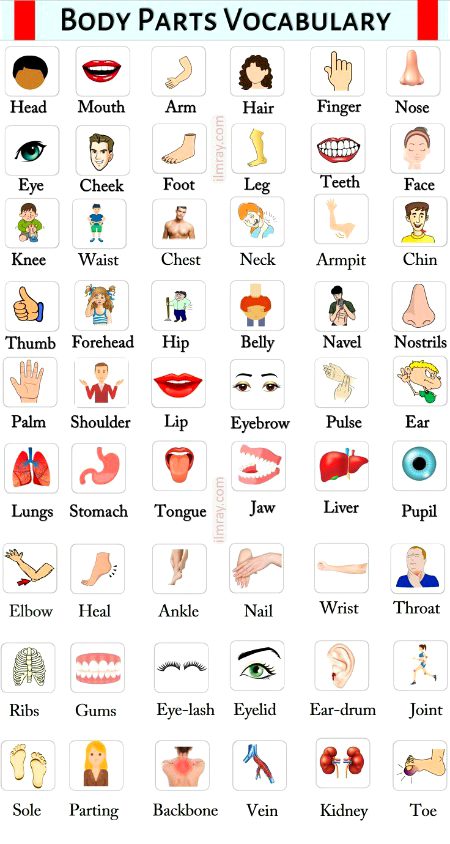 Tips for Students image