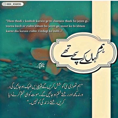 Romantic Novels image