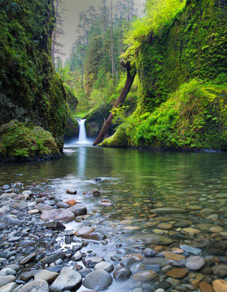 Beautiful Nature image