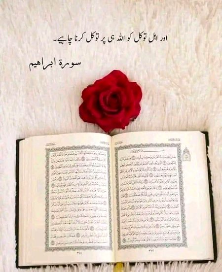 Islamic Quotes image