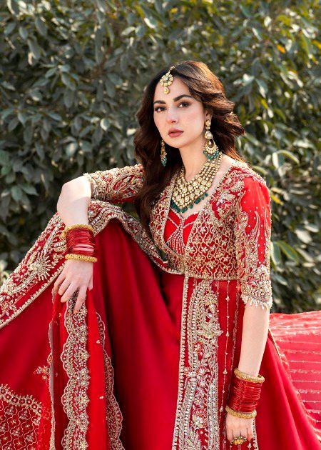 Pakistani Celebs image