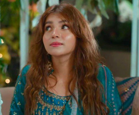 Pakistani Celebs image