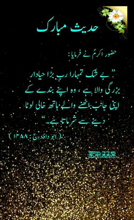 Islamic Quotes image