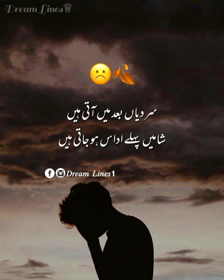 By cute Abbasi