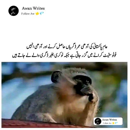 Hmmm kya khyl ha pakistanio 
Asa hi ha na