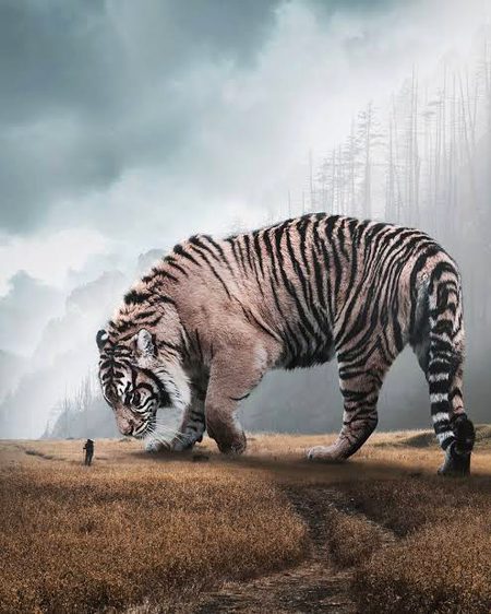 Digital Art image