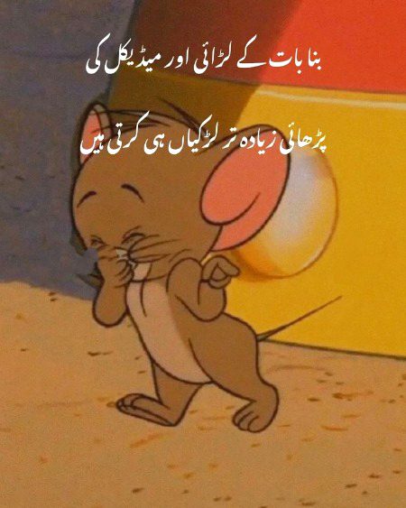 No option
