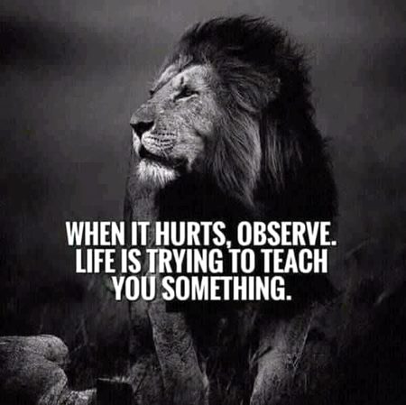 Motivational Quotes image