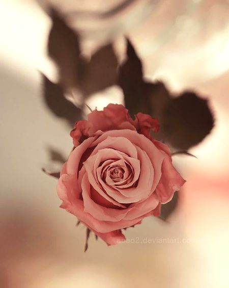 Beautiful Nature image