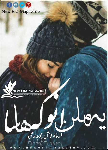 Romantic Novels image