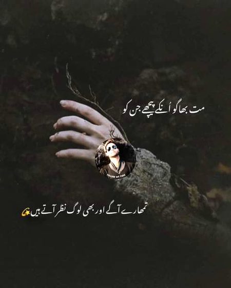 Attitude Quotes image