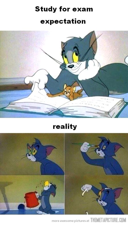 Memes & Satire image