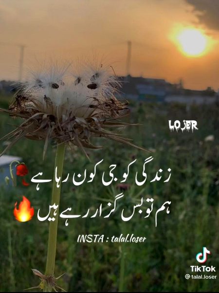 Sad Poetry image