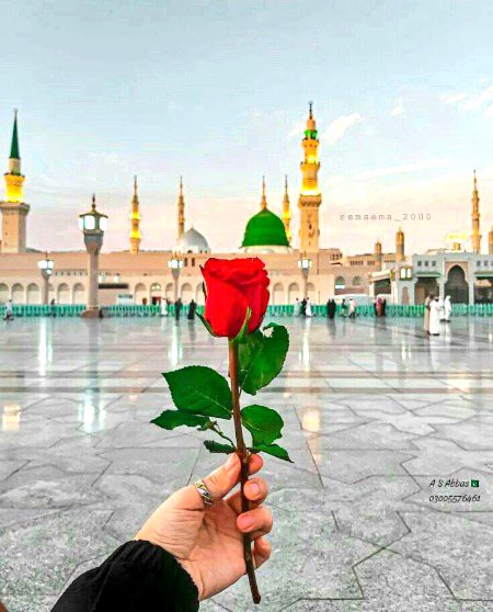 🌙17 ربیع الاول 
تمام مومنین و مومنات کو جشنِ عید صادقین (ص) مبارک ہو۔ 💚💐