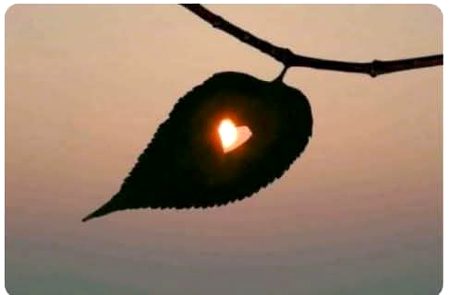 Beautiful Nature image