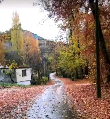 Beautiful Nature image