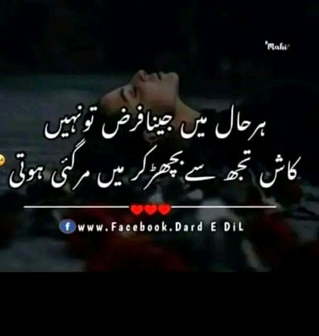 Sad Poetry image