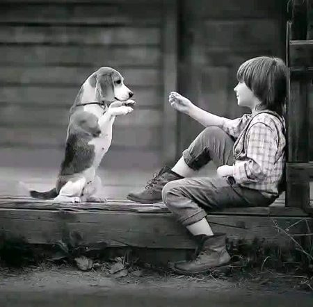خدا اُن دلوں میں بسیرا کرتا ہے جہاں سُکوں ہو، ہمدردی ہو، لوگوں کے دلوں میں اِنسان اور جانوروں کے لئے رحم ہو۔ خدا وہاں رہتا ہے جہاں لوگ پیار و محبت کے گیت گاتے ہوں...