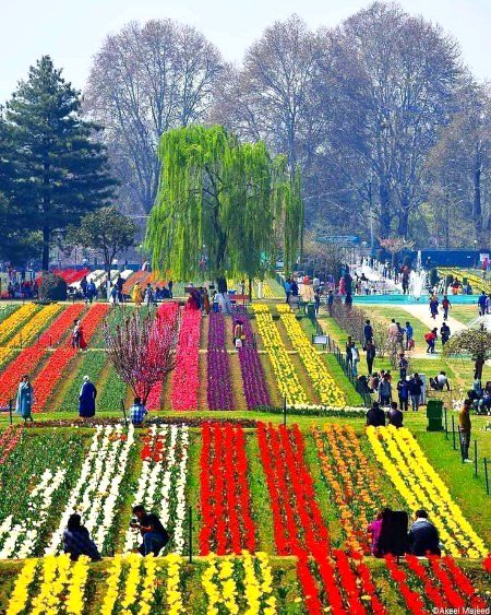 Beautiful Nature image