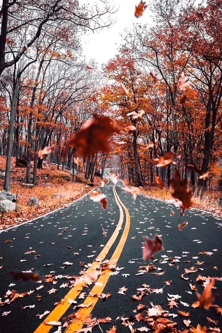 Beautiful Nature image