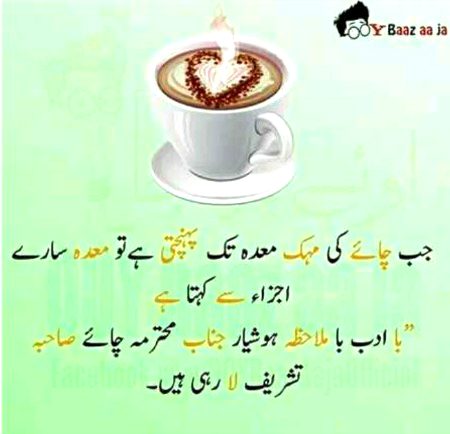 Mehar Zada