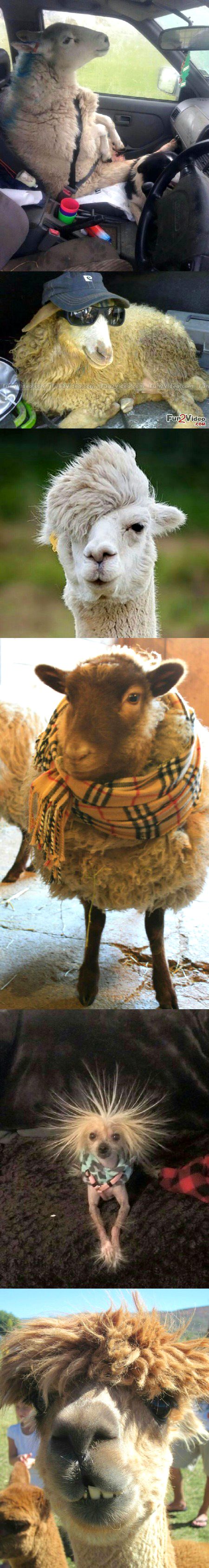 Beautiful Nature image