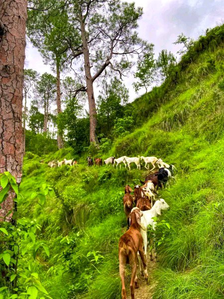 Beautiful Nature image