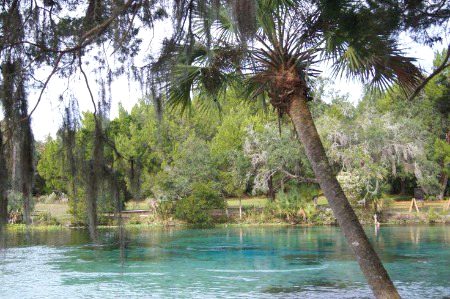 Beautiful Nature image