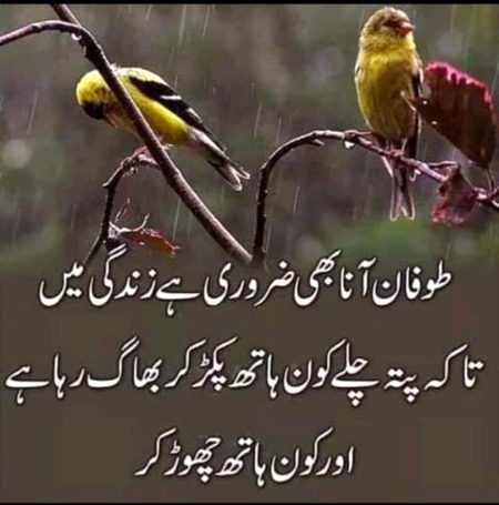 True lines