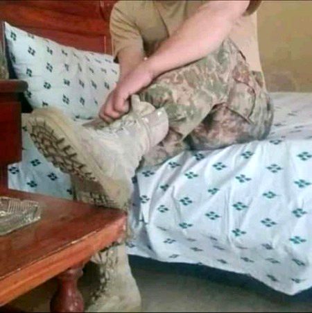 Hello damadam 😍 AP me se TikTok Kon use karta Hy .d5