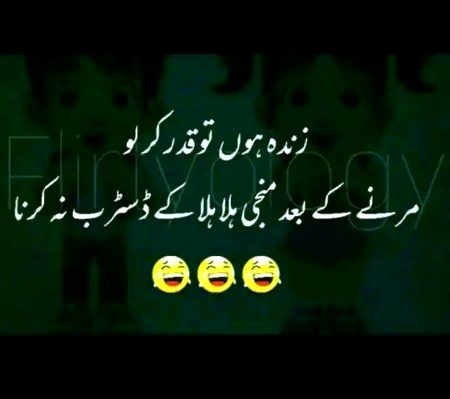 Memes & Satire image