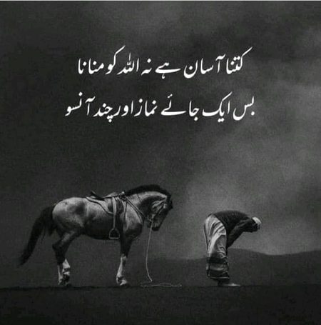 No doubt