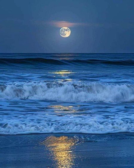 Beautiful Nature image