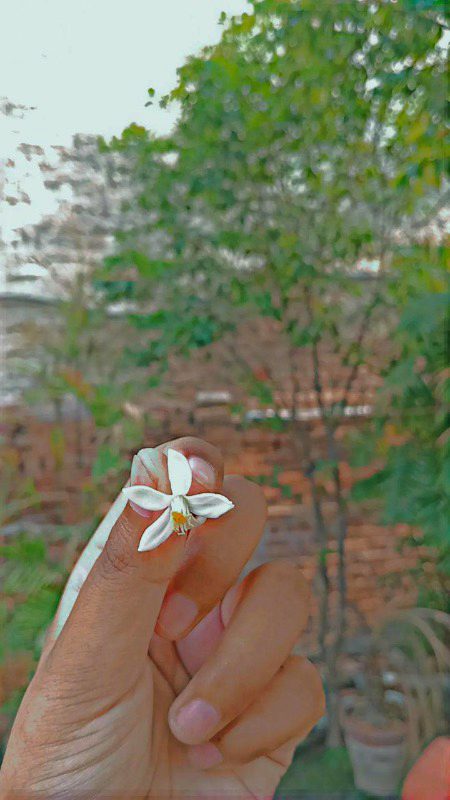 Beautiful Nature image