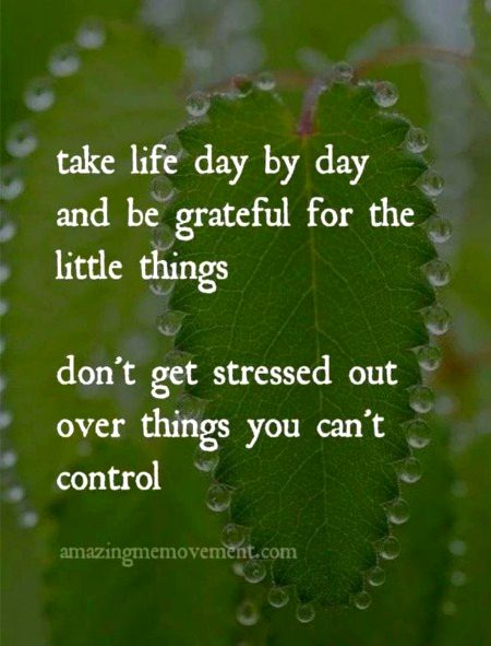 Life Advice image