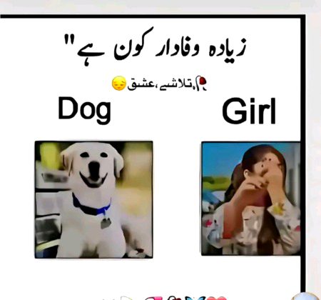 Btain??????