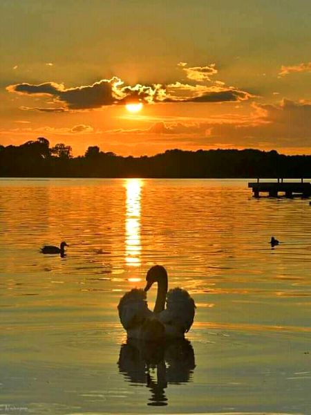 Beautiful Nature image