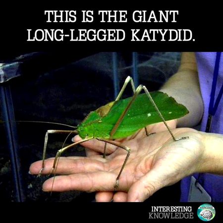Interesting Posts image