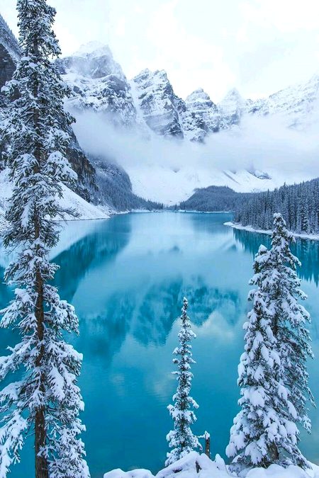 Beautiful Nature image