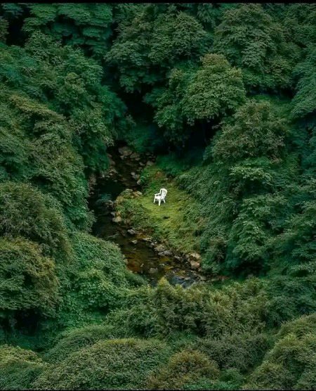 بس صرف اتنی تنہائی چاہیے🌺💐🥀💞