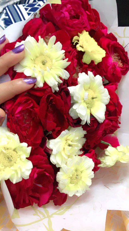 Beautiful Nature image