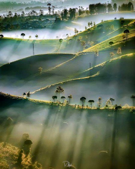 Beautiful Nature image
